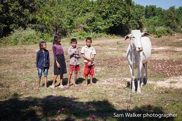 KCCC-image-by-Sam-Walker-team-Lawrie-children2-web