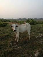 received 1764833536873119