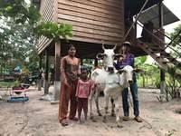 Our Calfs