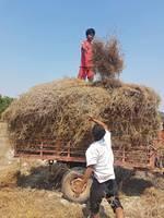 received 1759869364036203